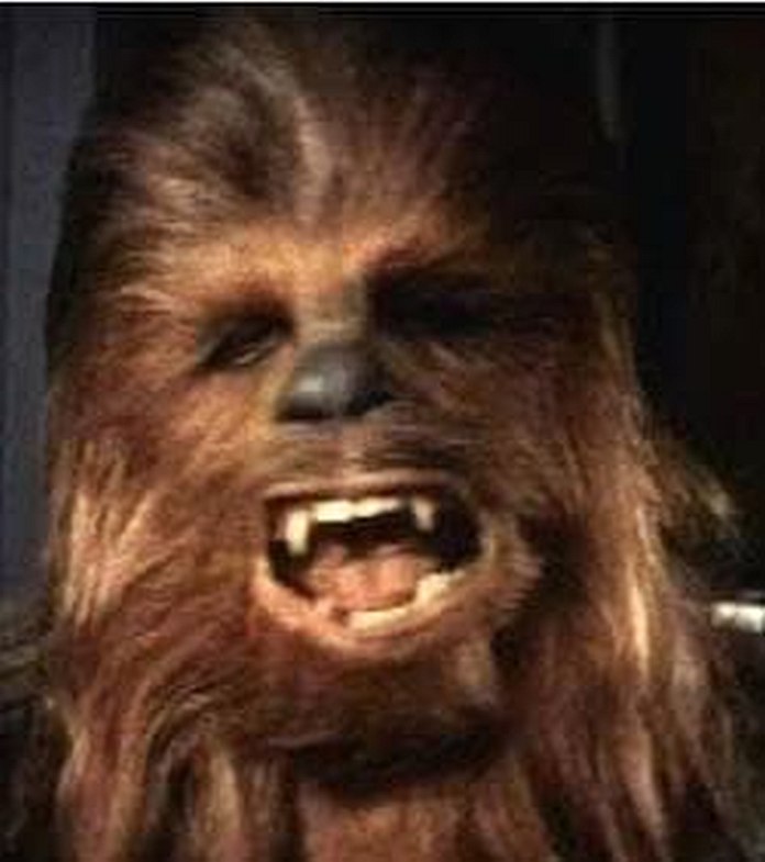 Chewbacca