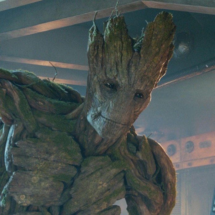 Groot