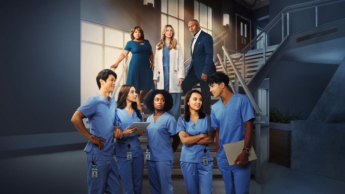 Grey's Anatomy poster for season 21