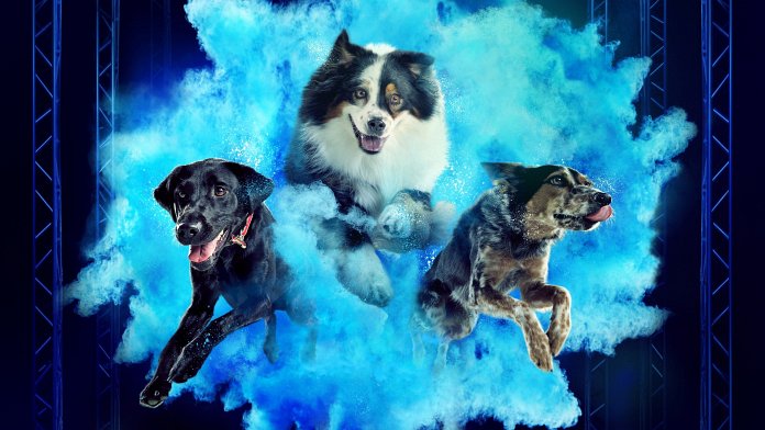 America's Top Dog poster for season 4