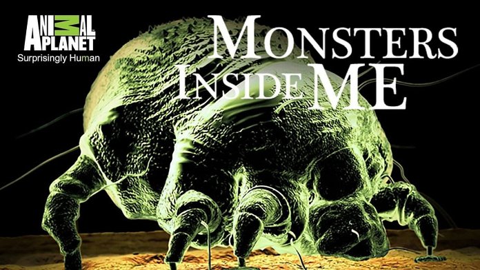 Monsters Inside Me poster for season 9