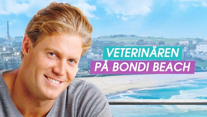 Bondi Vet poster for season 9