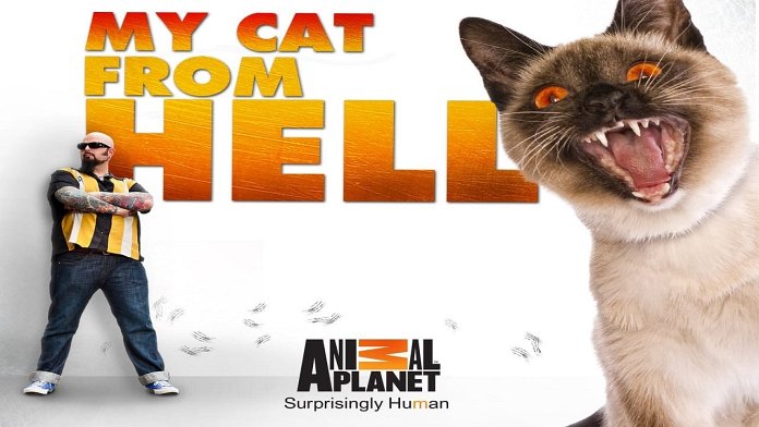 My Cat from Hell poster for season 11