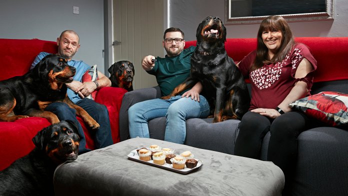 Gogglebox poster for season 22