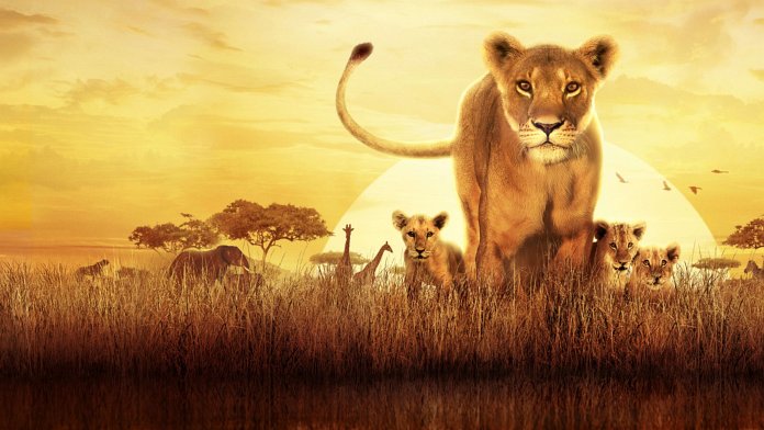 Serengeti poster for season 4
